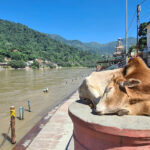 Nordindien Yoga Reise